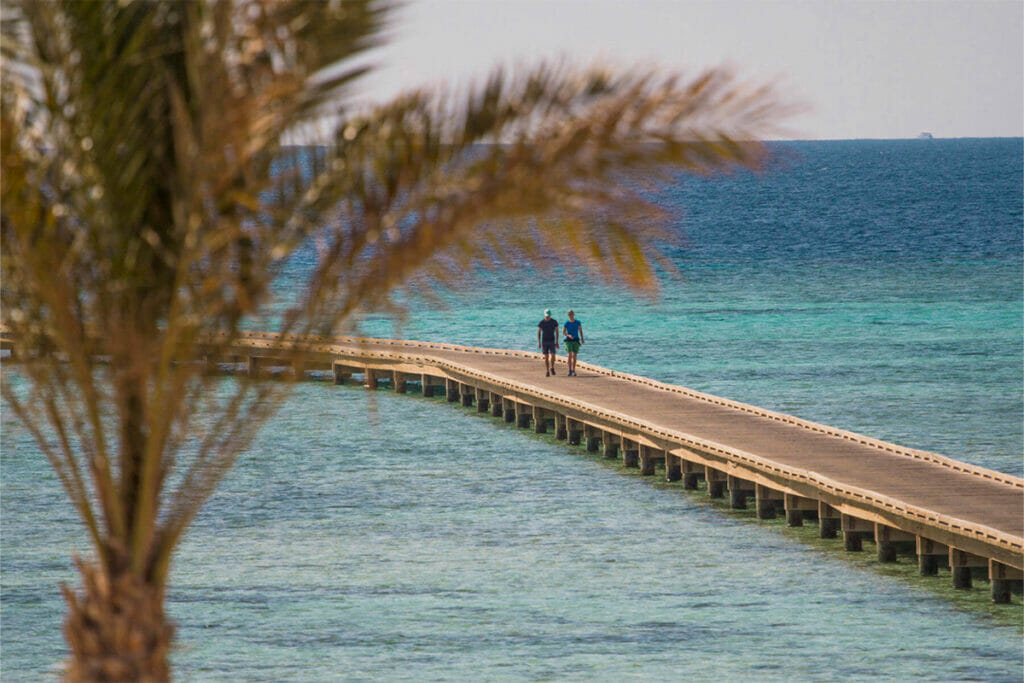 Zwei Personen spazieren über langen Steg auf dem Meer. Palme im Vordergrund