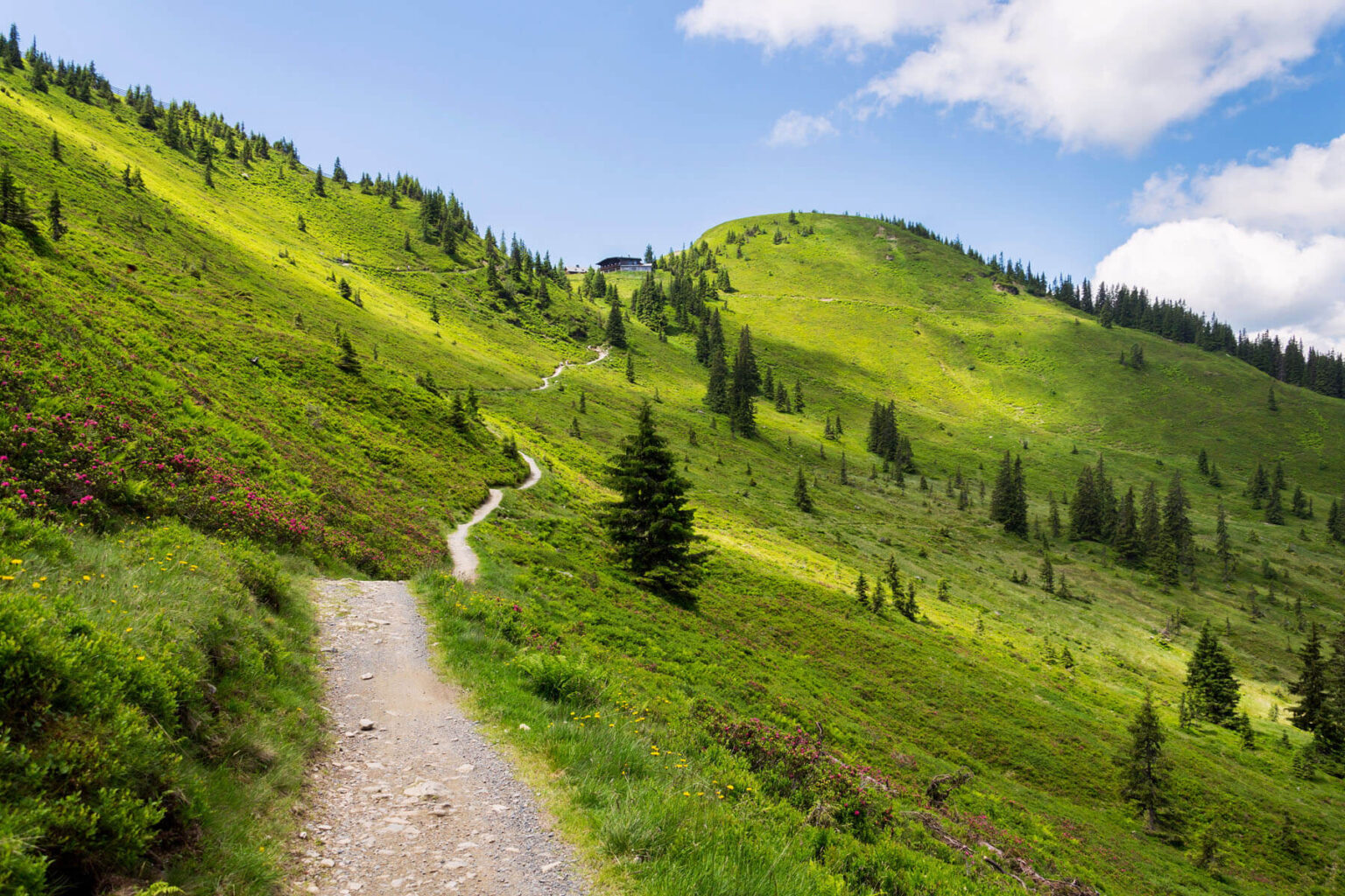 Trail in den Bergen von Saalbach