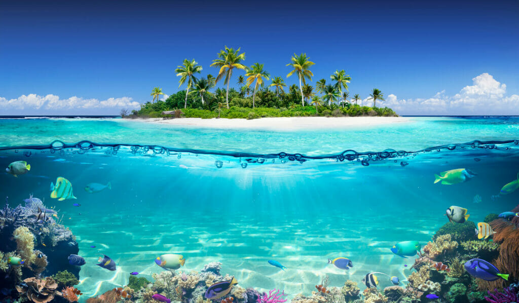 Maldives island with sandy beach and sea with fishes