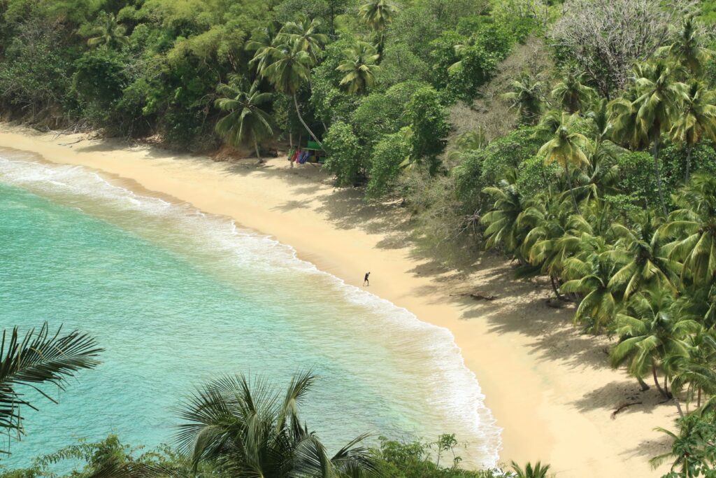 Sandy beach on Tobago island in the Caribbean Sea