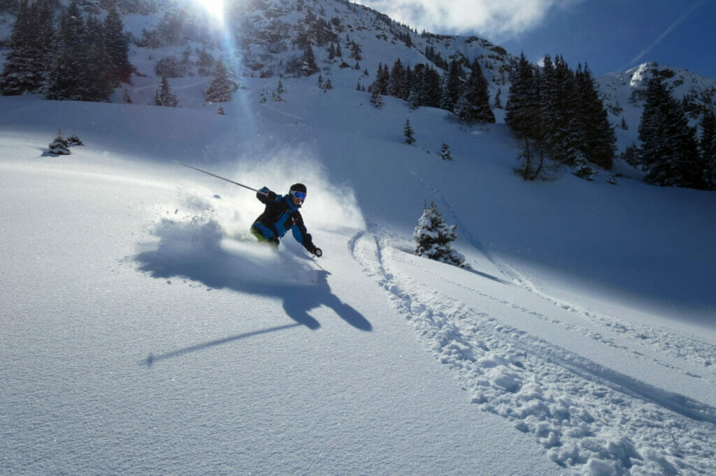Skiers in powder downhill and sunshine