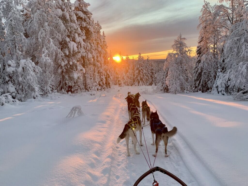 Yoga Retreat Sweden: Yoga trip with northern lights and dog sleds