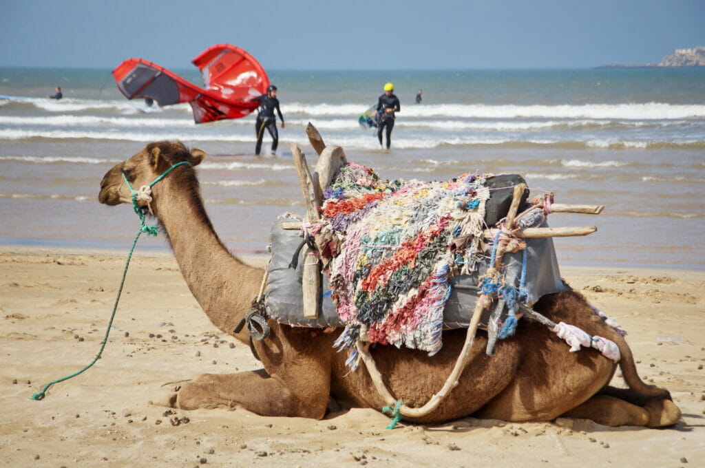 Kitecamp Marokko