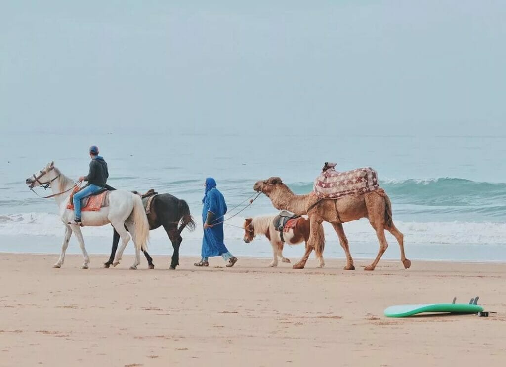 Morocco surfing